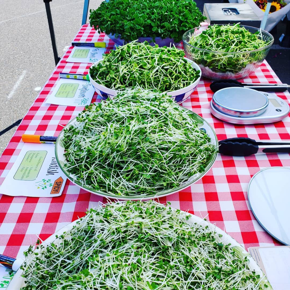 Ke Microgreens 1