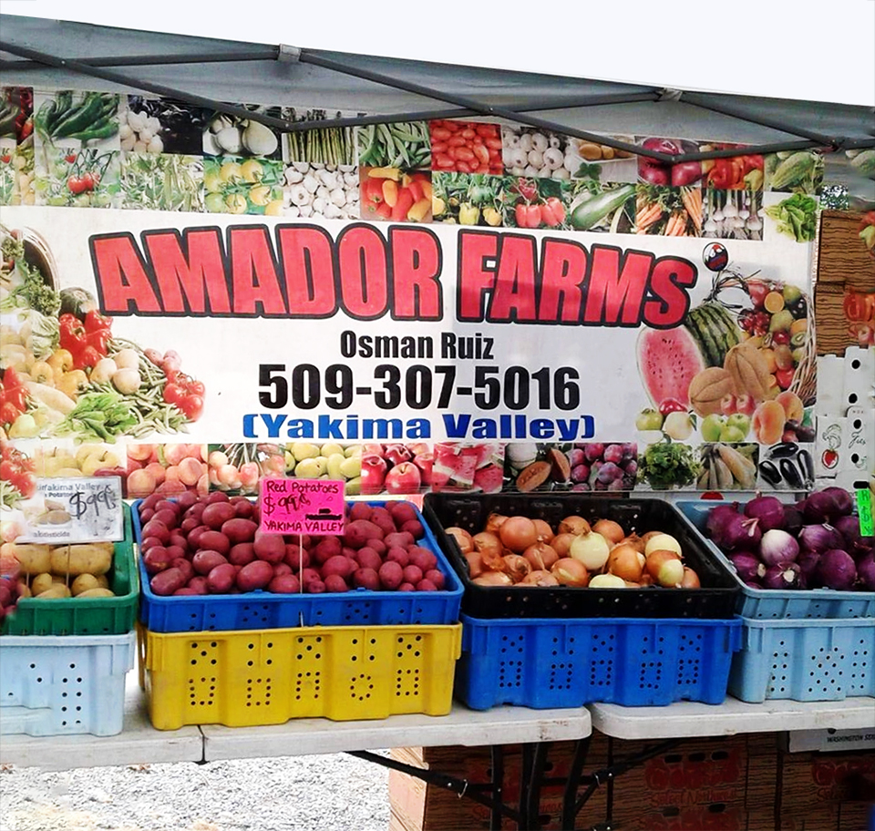Amador Farms