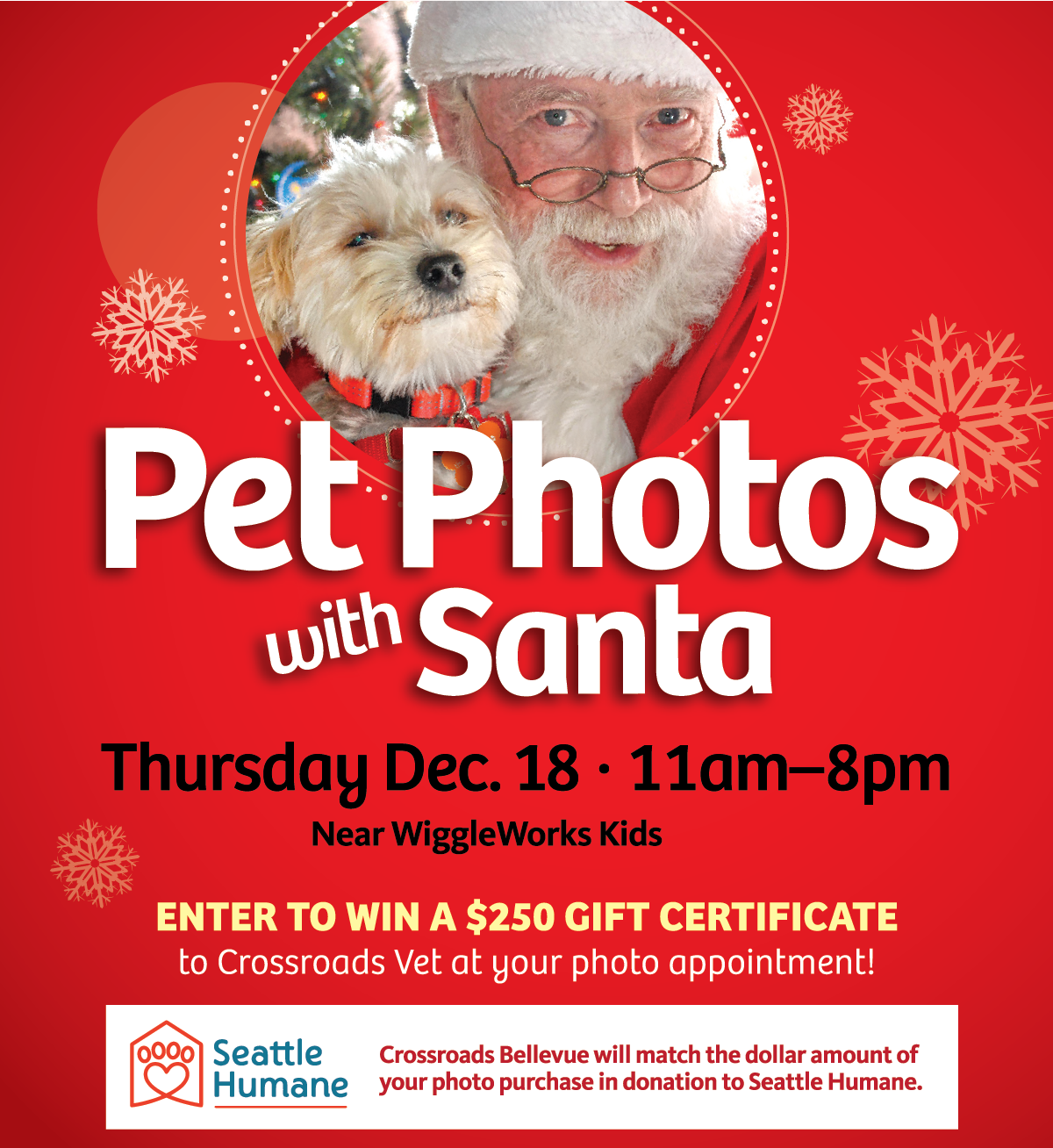 Santa-Pet-Photos-1200px-for-website.png